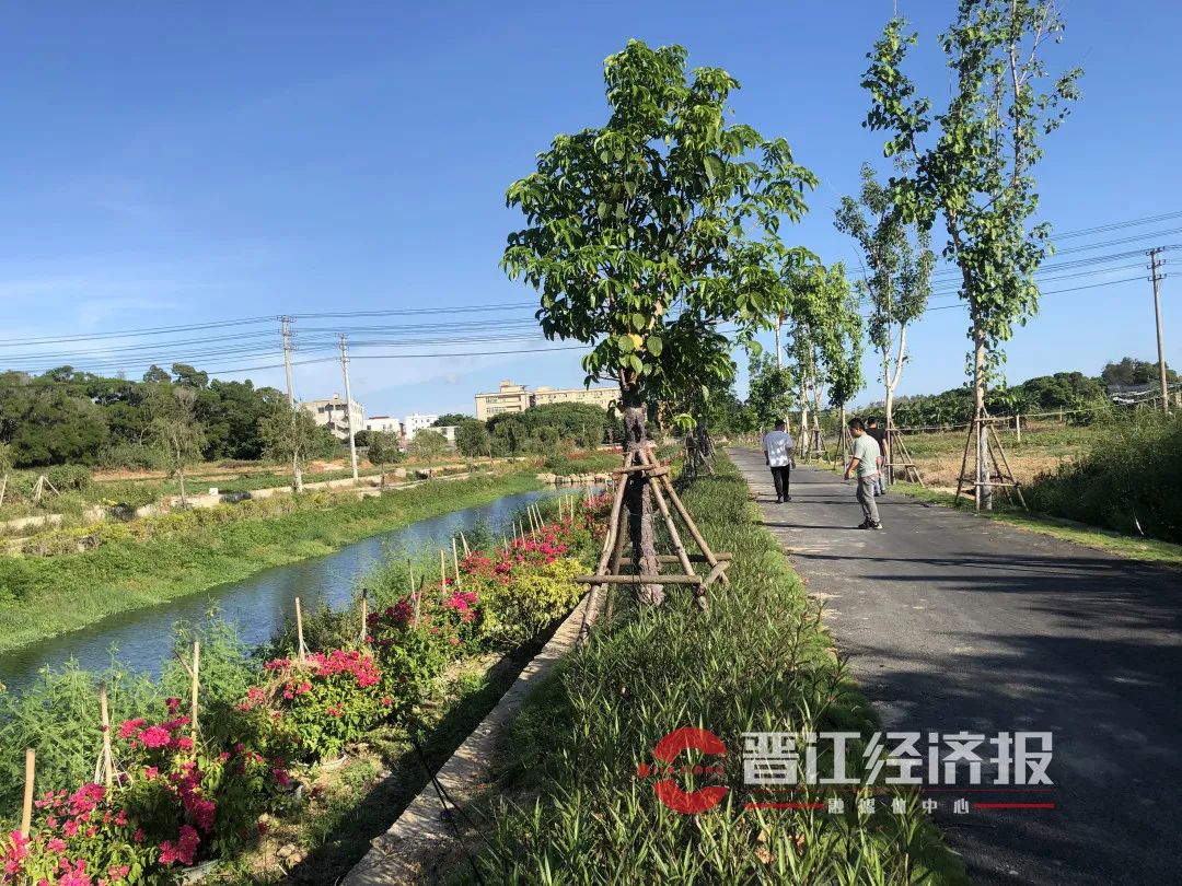 白鹭|晋江|英林镇_新浪新闻