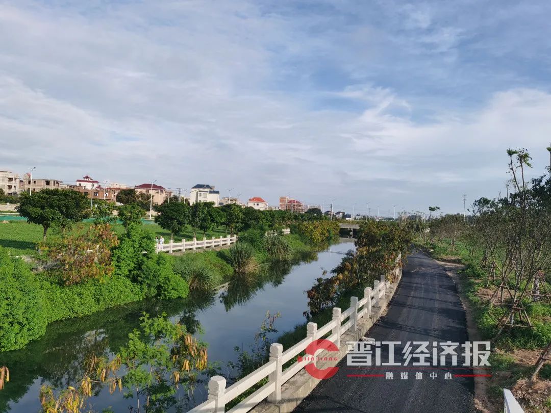 白鹭|晋江|英林镇_新浪新闻