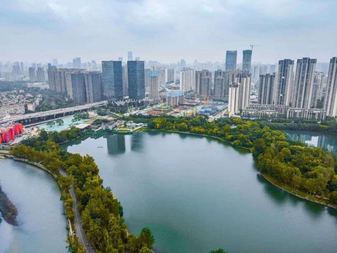 "江湖"纵横之间,成都南二环再出王炸!|成都市|地块|二环_新浪新闻