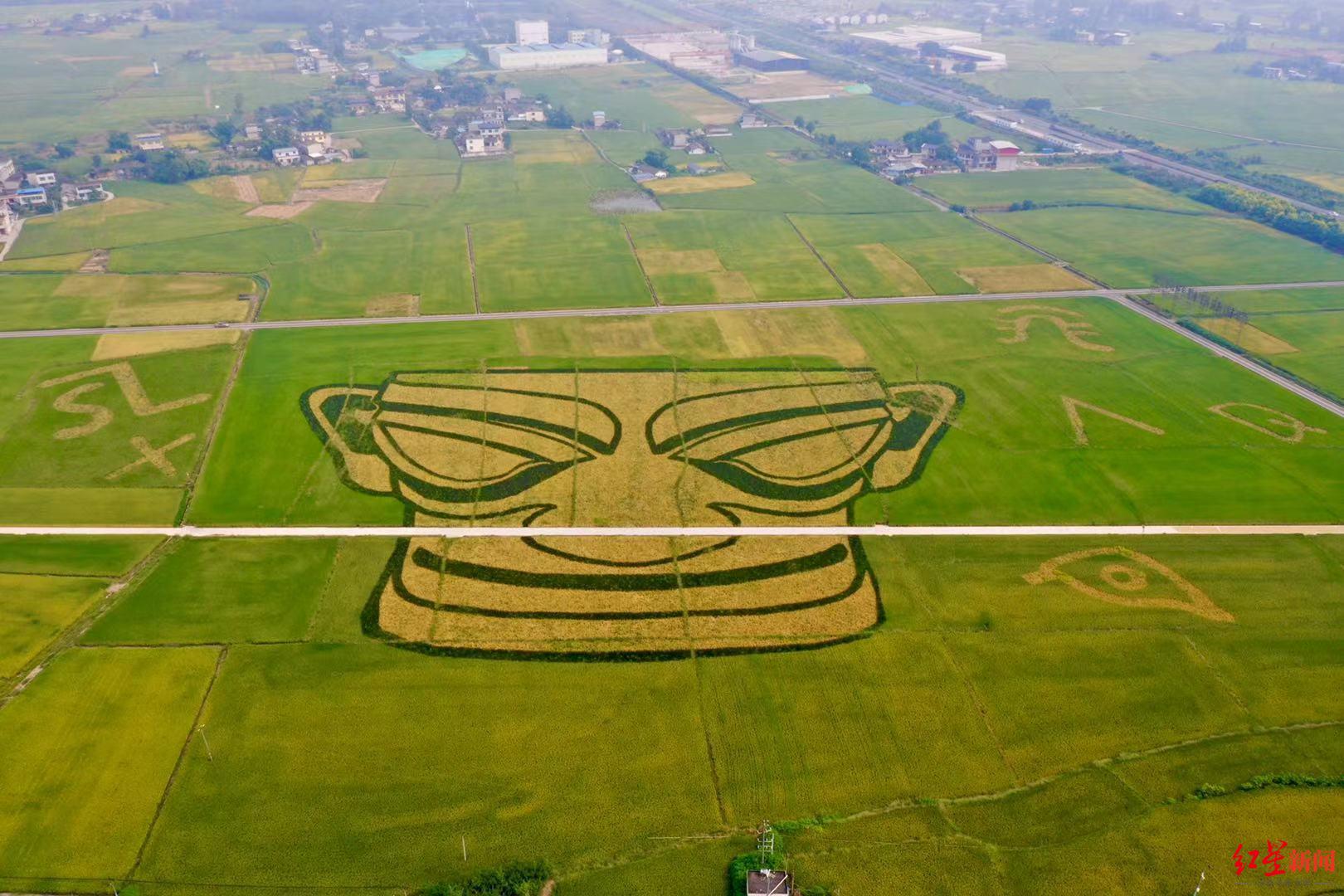 50多亩!原来最大的三星堆"金面具"在这里,还露出神秘的微笑