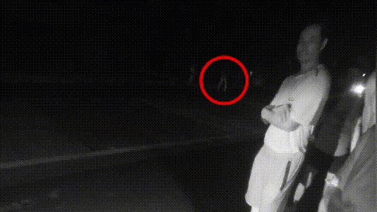 老人抱娃横穿马路围观车祸，恰好过路司机也看了两眼，结果……休闲区蓝鸢梦想 - Www.slyday.coM