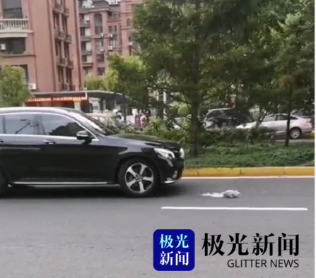 哈尔滨一老人过马路时被撞倒身亡！休闲区蓝鸢梦想 - Www.slyday.coM