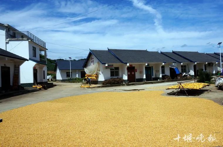 今天十堰全省第一热！接下来的天气…休闲区蓝鸢梦想 - Www.slyday.coM