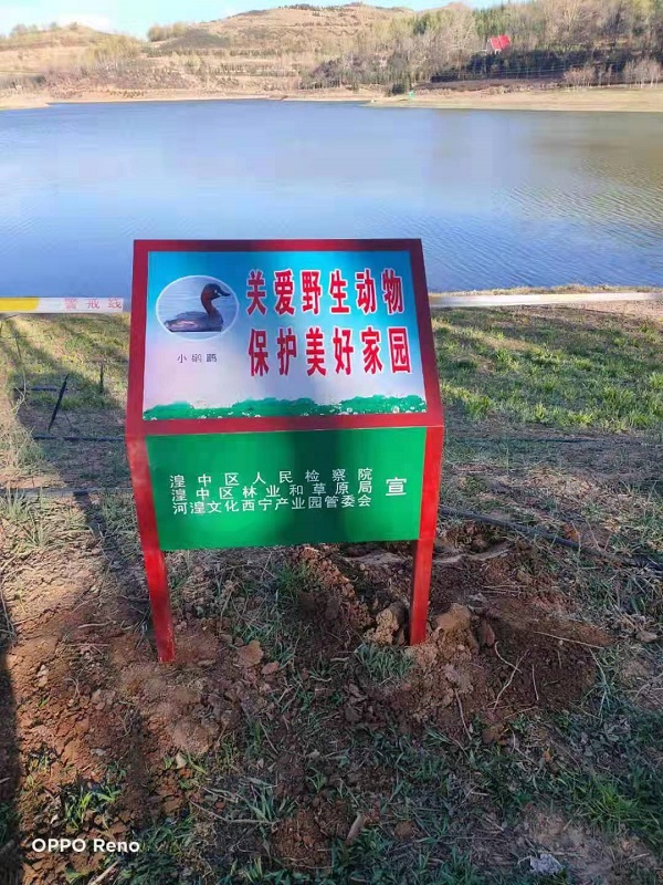 只为鸟儿翩然飞舞