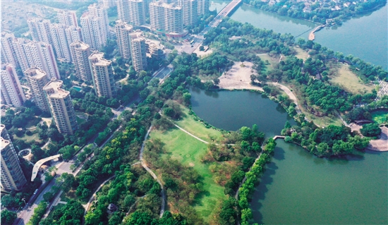 打造林中之城|绿地|林中_新浪新闻