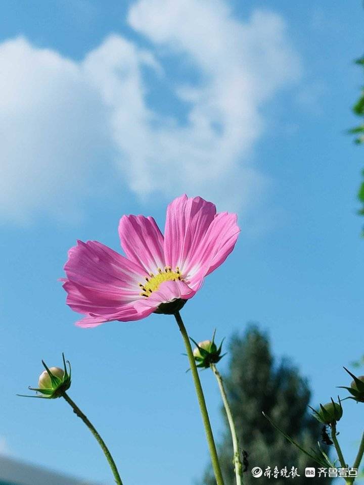 9月8日最佳情报|治愈系蓝天白云上线,你被美到了吗?