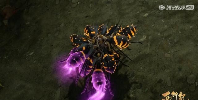 牛魔王|毒蜂|唐三藏_新浪新闻