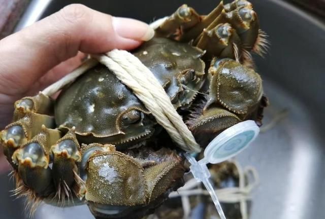 买螃蟹时,只要说出这2个词,老板一听是懂行的,不敢糊弄你休闲区蓝鸢梦想 - Www.slyday.coM