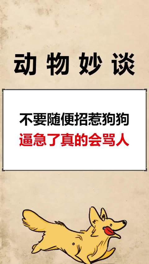 不要随便招惹狗狗惹急了真的会骂人