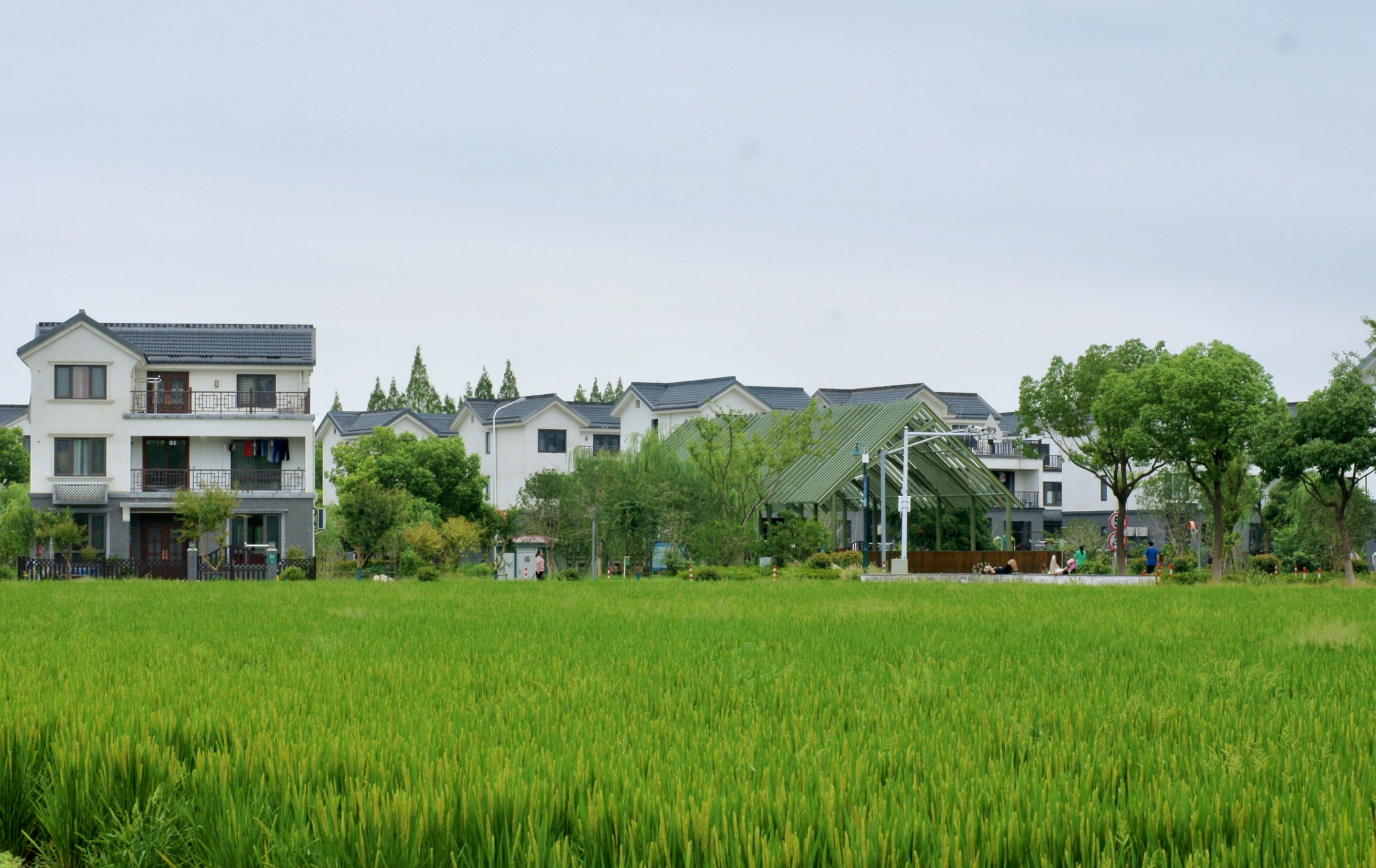 沪苏省界向阳村除了亲切的村味还有个摩登游客中心