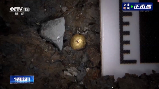 三星堆新发现，网友：锅铲找到了？休闲区蓝鸢梦想 - Www.slyday.coM