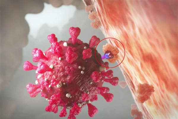 福建仙游发现6例核检阳性人员：疑似源头曾3次检测均为阴性休闲区蓝鸢梦想 - Www.slyday.coM