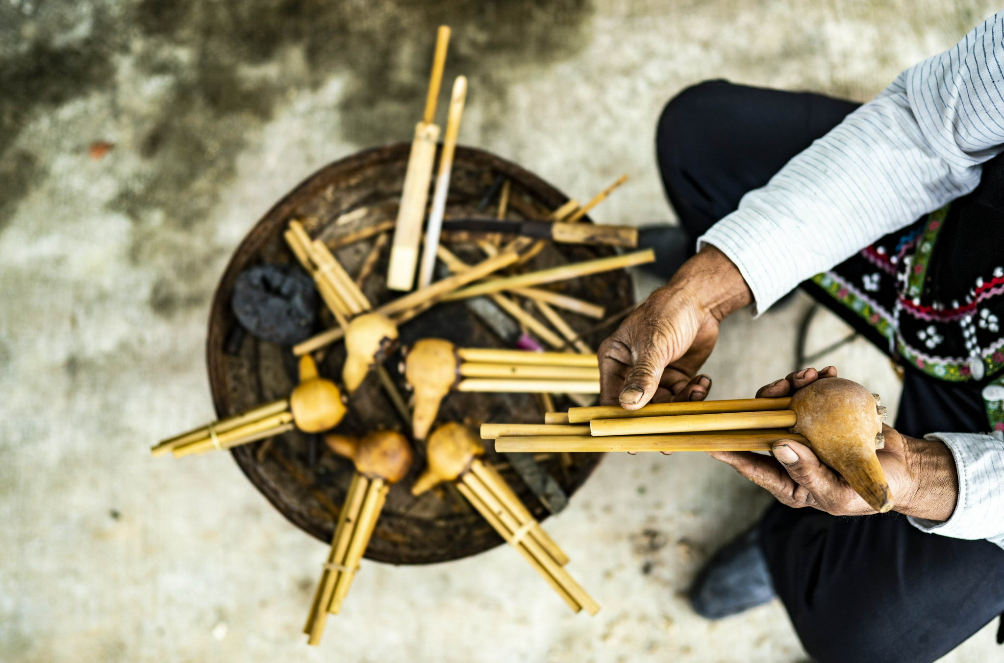 芦笙吹响致富路|合作社|云南省_新浪新闻