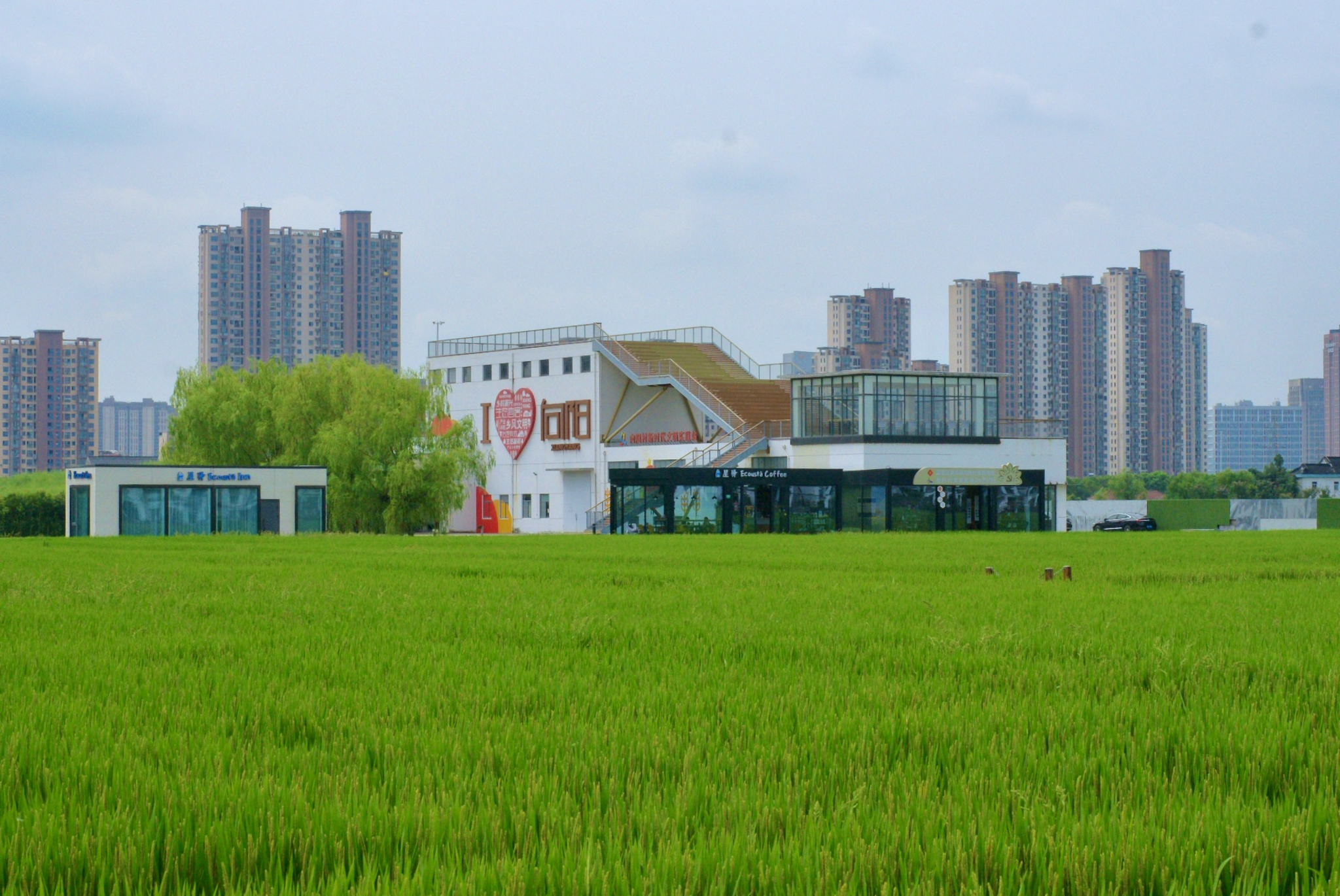 沪苏省界向阳村除了亲切的村味还有个摩登游客中心