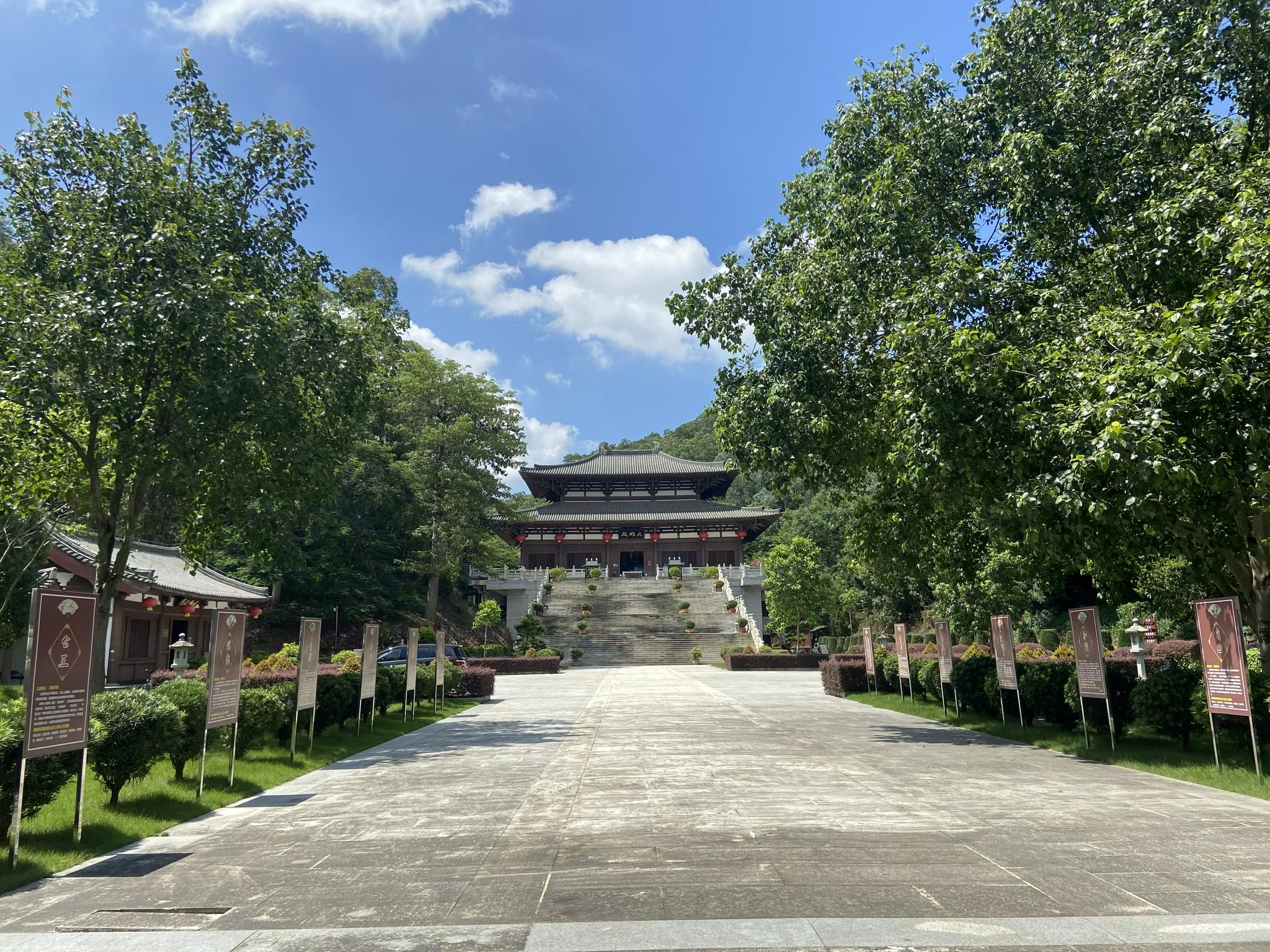 惠州文脉风物西湖丰山百年菩提仍葱茏曾为千年古寺永福寺遗址