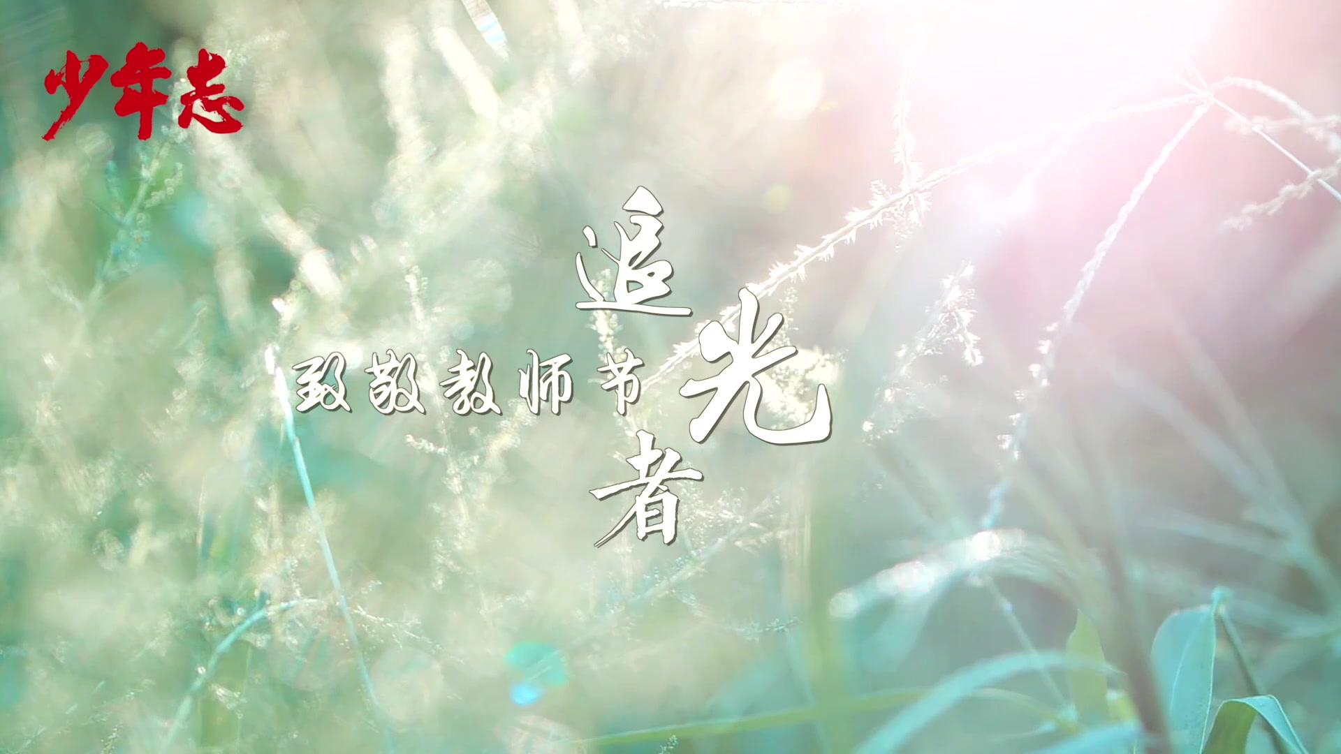 致敬教师节——追光者!