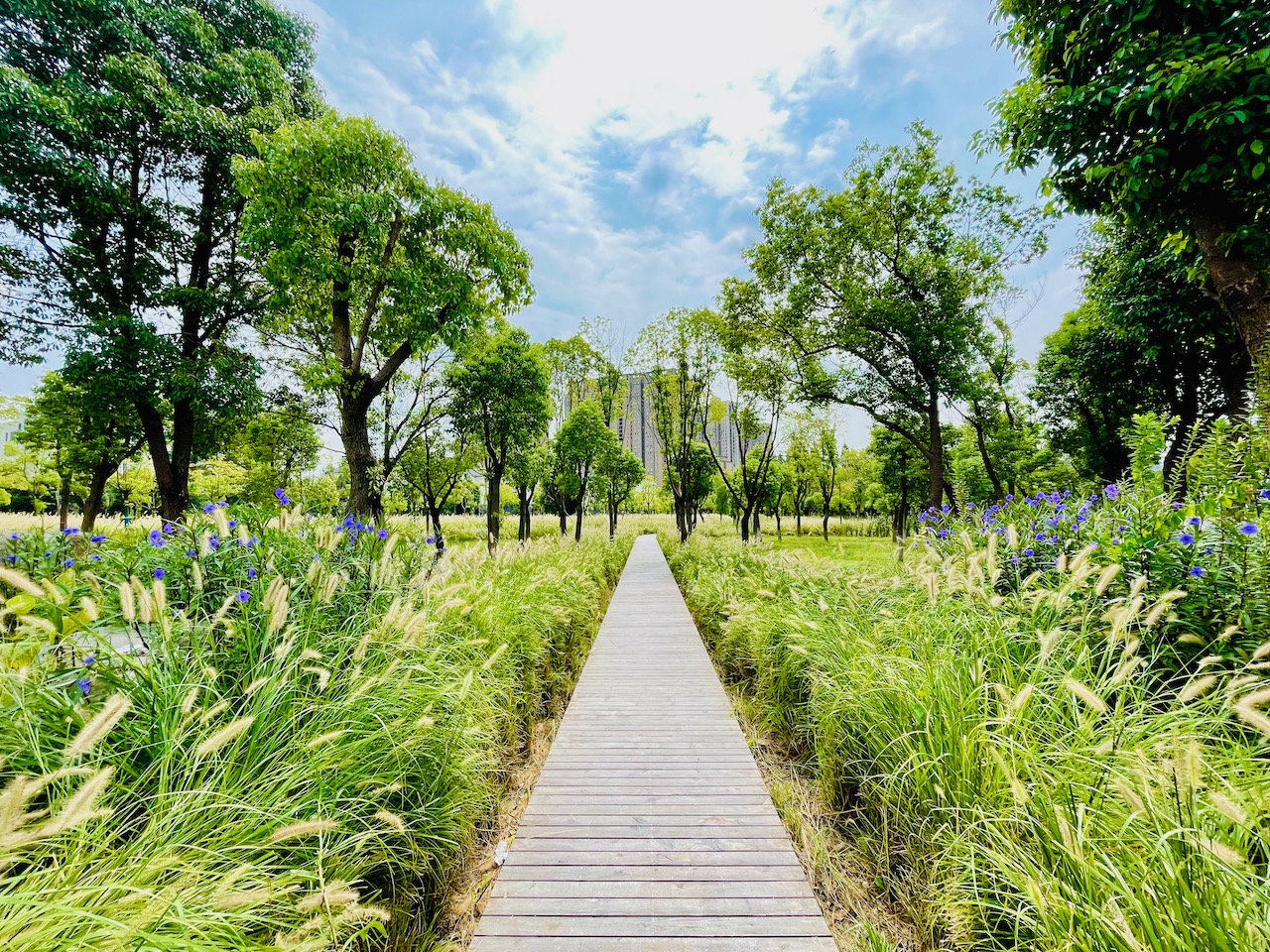 宜人的步道吸引人们来访