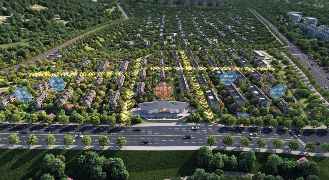 如何承诺碳中和泰安这里正在这样做