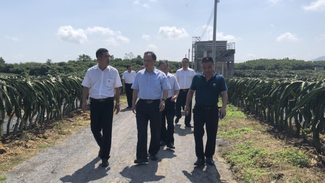 阳江市委常委政法委书记雷玉春赴双捷镇调研乡村振兴工作