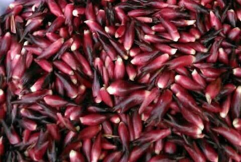 爱美的女性要多吃的食物 润肤抗皱 降压降脂 抵抗衰老 爱美的女性要多吃的食物 润肤抗皱 降压降脂 抵抗衰老