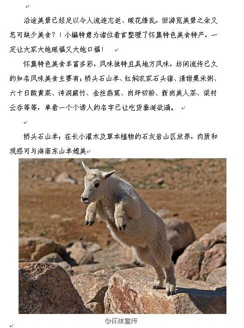 怀集特色美食丰富多彩,风味独特且具地方风味