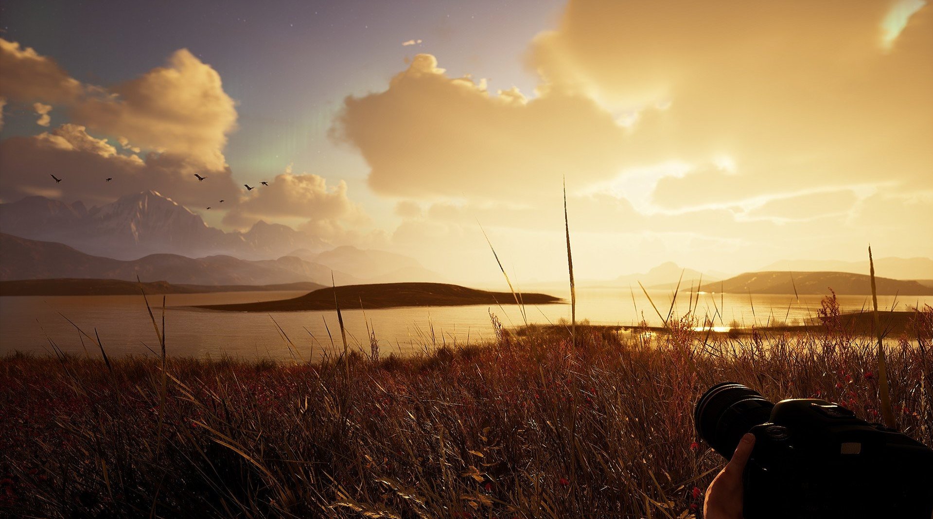 穷三代模拟器《摄影模拟器》发布steam页面