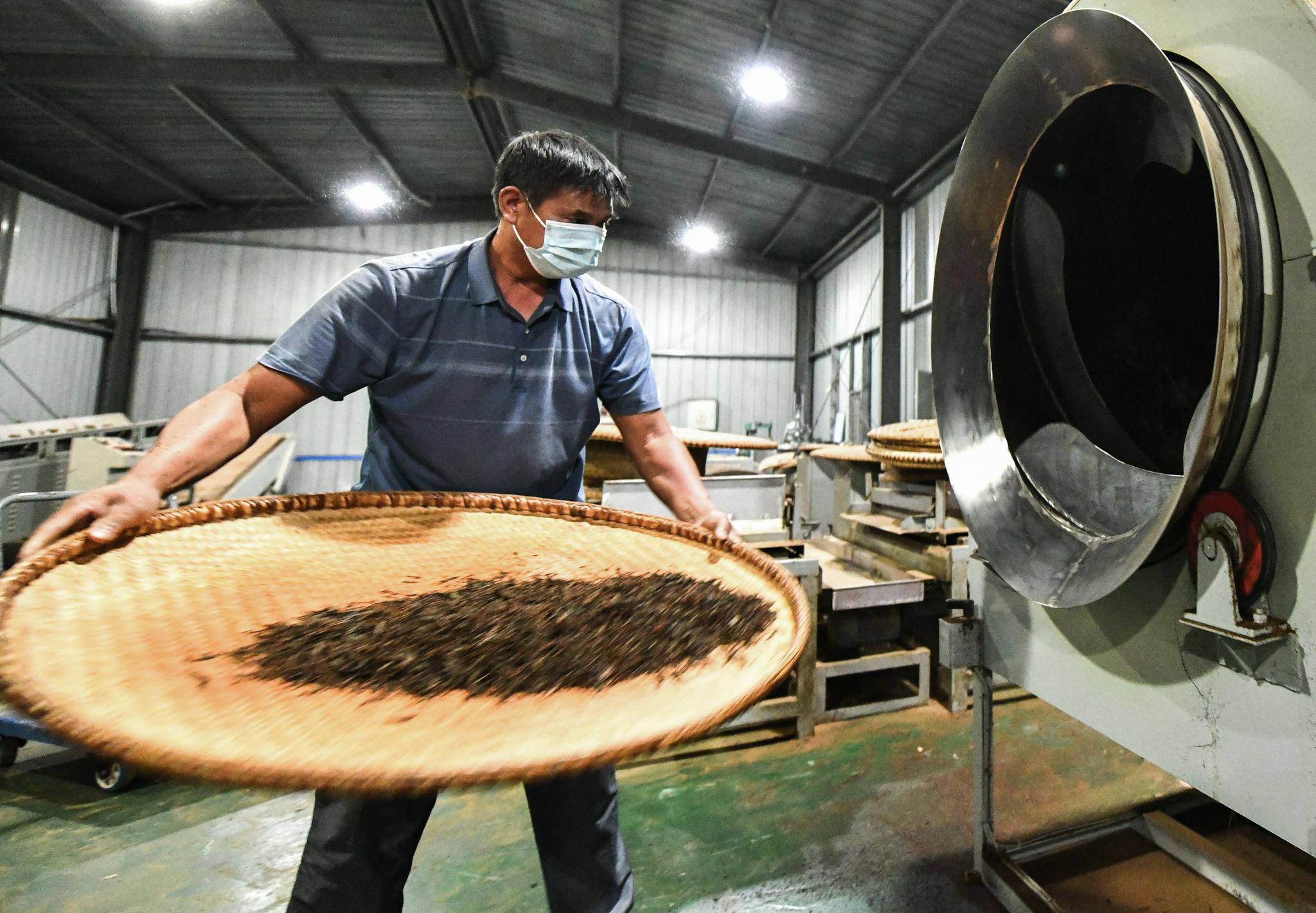 秀鱼春 摄)9月10日,湖南衡阳常宁市塔山瑶族乡板角村的茶农在整理茶叶