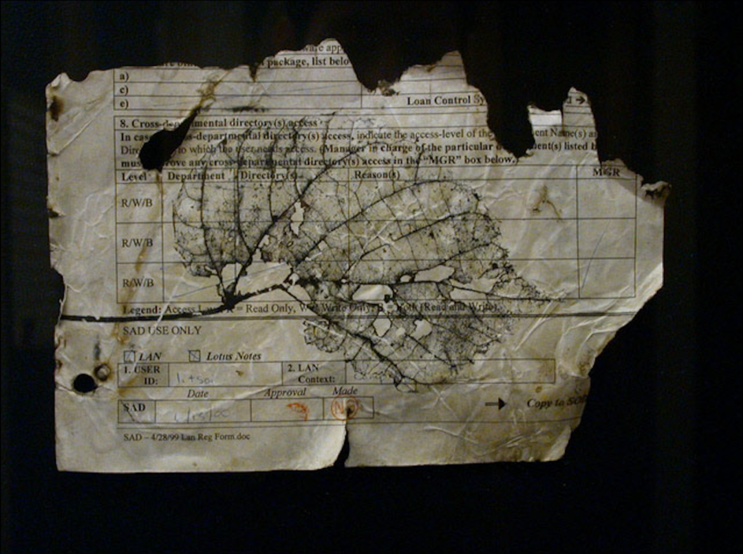 “9·11”20年，那些没有忘记的艺术家与作品休闲区蓝鸢梦想 - Www.slyday.coM