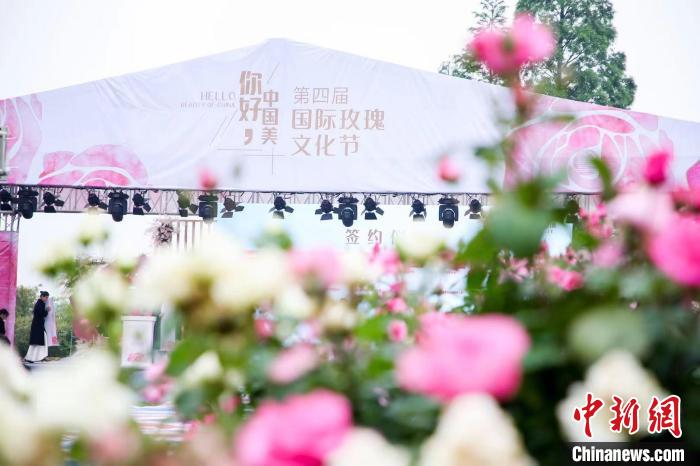 在中国美妆小镇举办的国际玫瑰文化节。受访者提供