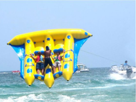 海上飞鱼,危险危险危险!