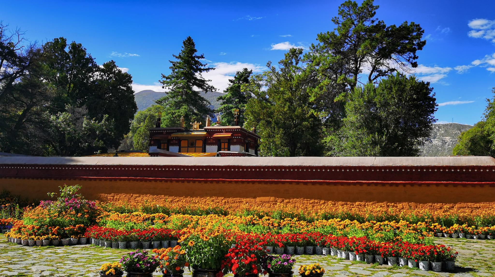 拉萨罗布林卡一角(9月3日摄).新华社记者 沈虹冰 摄