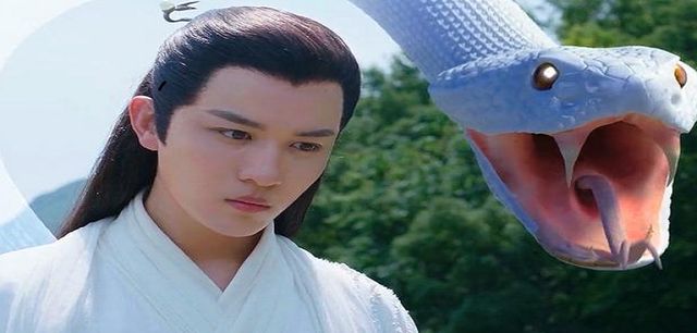 医女白靖瑶到长白山采药,不慎坠入湖中,幸被千年蛇仙柳龙庭所救.