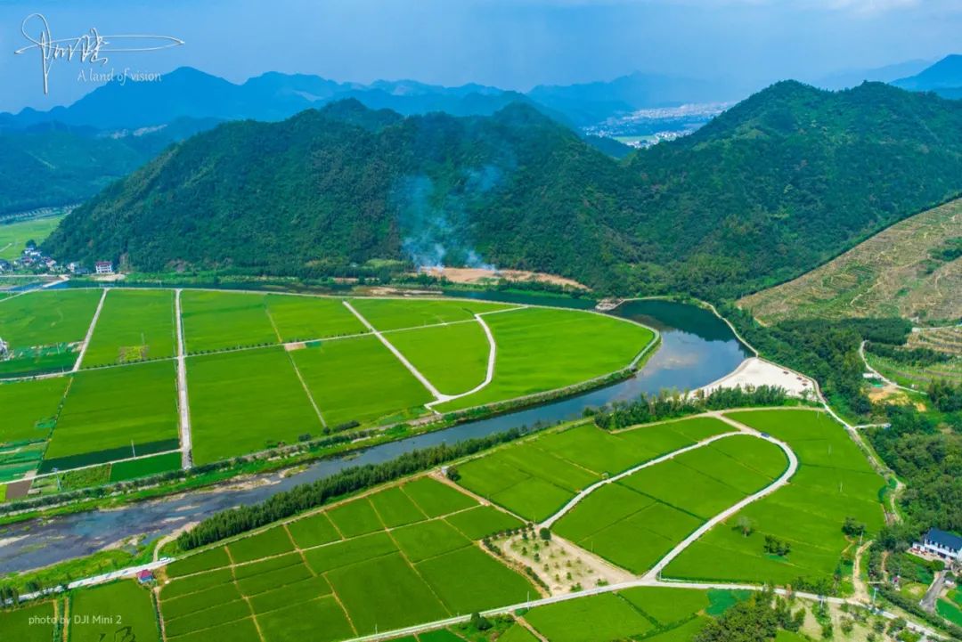 航拍杭州桐庐百江镇,稻田和茶园"碰撞"在一起,美如油画