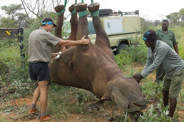 科学家是闲的吗?2021年搞笑诺贝尔奖公布,有哪些“奇葩”研究?休闲区蓝鸢梦想 - Www.slyday.coM 科学家是闲的吗?2021年搞笑诺贝尔奖公布,有哪些“奇葩”研究?休闲区蓝鸢梦想 - Www.slyday.coM