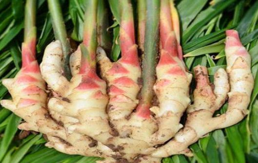 秋天常见的三种食物,要学会吃一吃,补充营养、改善体质休闲区蓝鸢梦想 - Www.slyday.coM 秋天常见的三种食物,要学会吃一吃,补充营养、改善体质休闲区蓝鸢梦想 - Www.slyday.coM