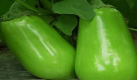 秋天常见的三种食物,要学会吃一吃,补充营养、改善体质休闲区蓝鸢梦想 - Www.slyday.coM 秋天常见的三种食物,要学会吃一吃,补充营养、改善体质休闲区蓝鸢梦想 - Www.slyday.coM