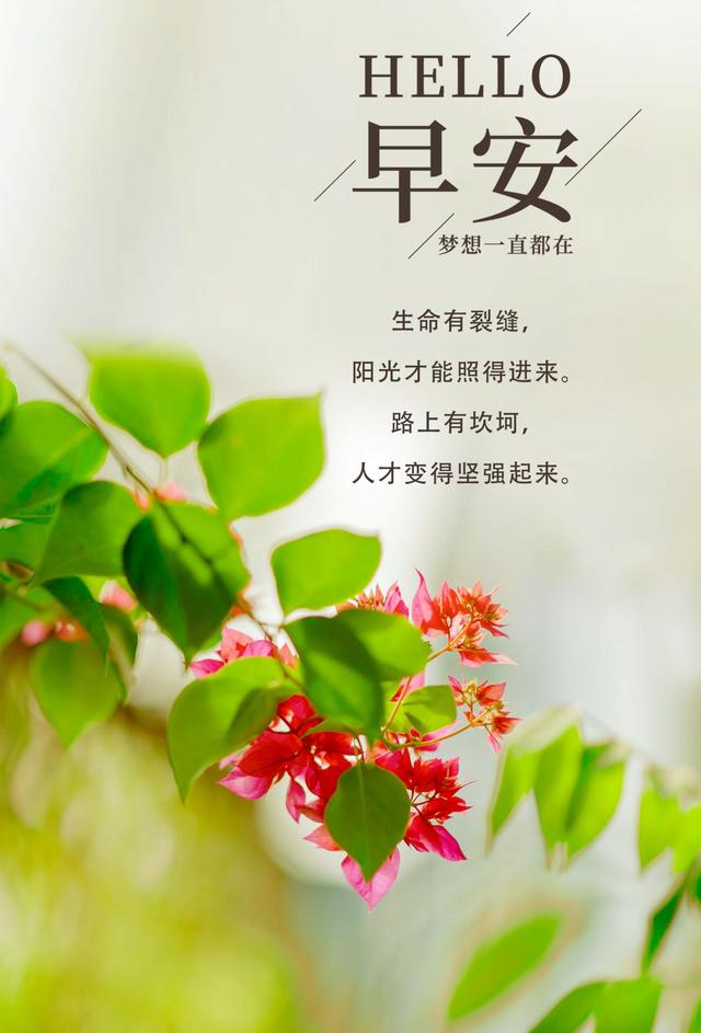 每日心语简单一句话,最能激励人心的早安问候,写给自己!