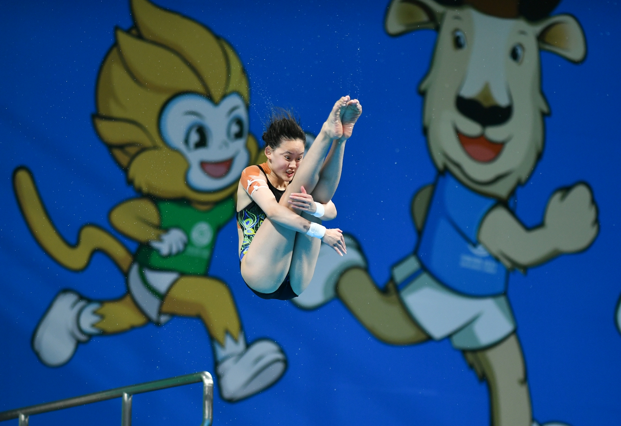 女子跳水十米跳台图片