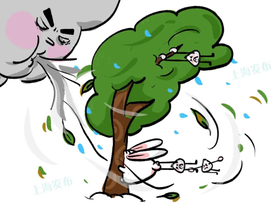 台风预警刚刚升级为黄色预计明天傍晚到夜间在上海南部二次登陆