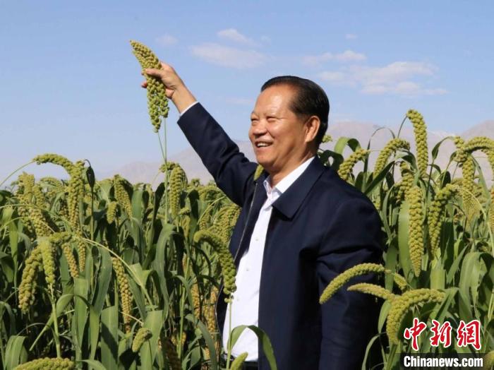 和静县委书记刘克文举着齐人高的谷子. 胡嘉琛 摄