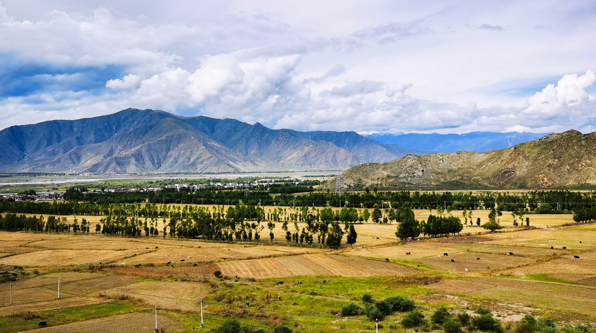 拉萨市达孜区境内的农田(9月11日摄).新华社记者 沈虹冰摄
