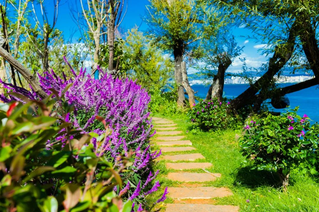 洱海拆了1806家客栈后，泸沽湖也没能逃过...休闲区蓝鸢梦想 - Www.slyday.coM