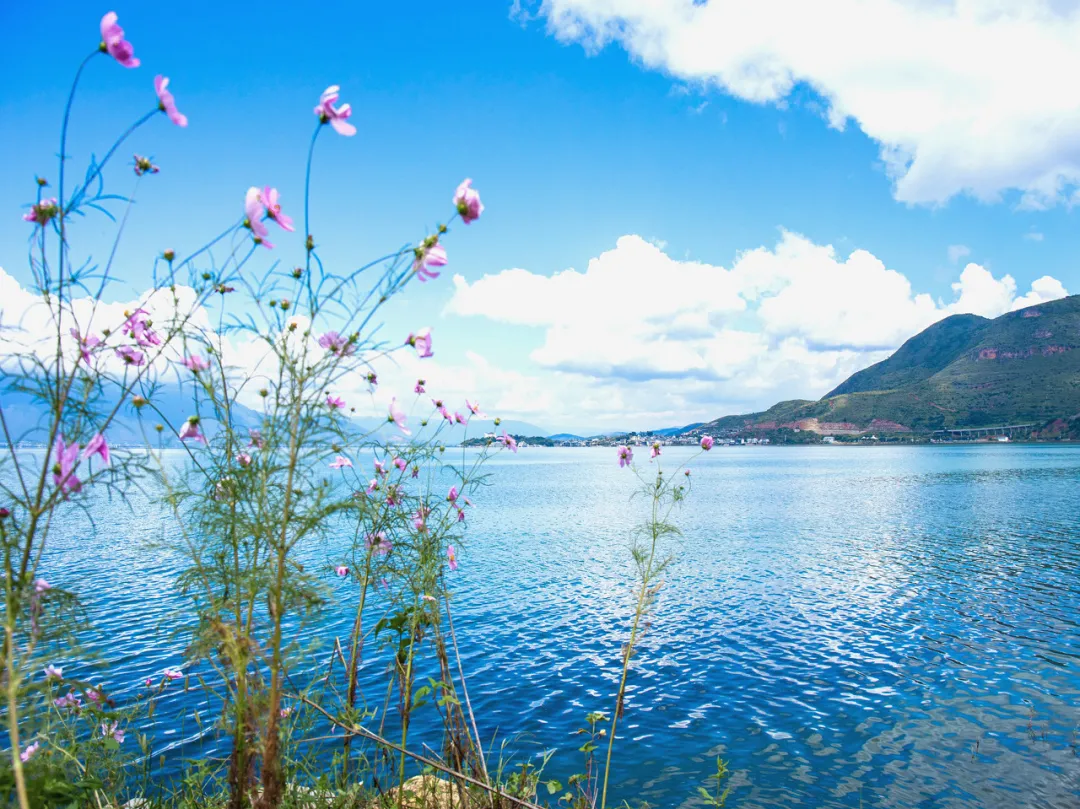 洱海拆了1806家客栈后，泸沽湖也没能逃过...休闲区蓝鸢梦想 - Www.slyday.coM