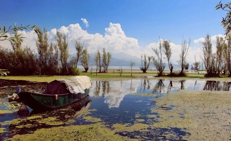 洱海拆了1806家客栈后，泸沽湖也没能逃过...休闲区蓝鸢梦想 - Www.slyday.coM