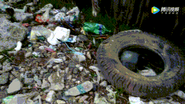 洱海拆了1806家客栈后，泸沽湖也没能逃过...休闲区蓝鸢梦想 - Www.slyday.coM