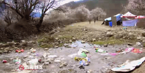 洱海拆了1806家客栈后，泸沽湖也没能逃过...休闲区蓝鸢梦想 - Www.slyday.coM