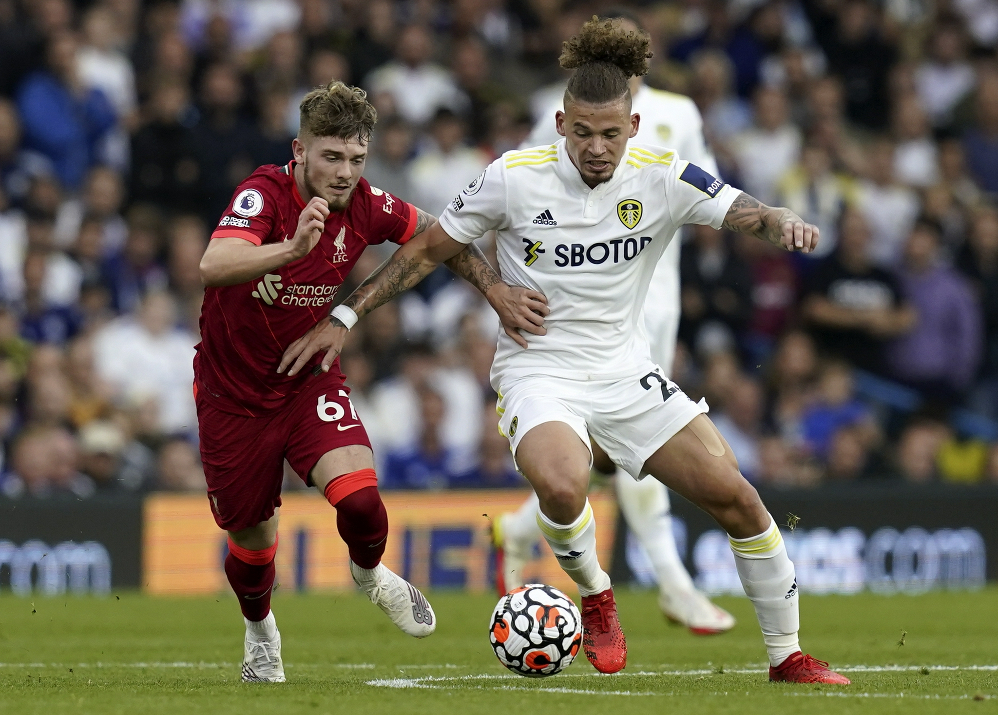 利兹联队(2023已更新(百科/知乎)-第2张图片-西安论坛资讯