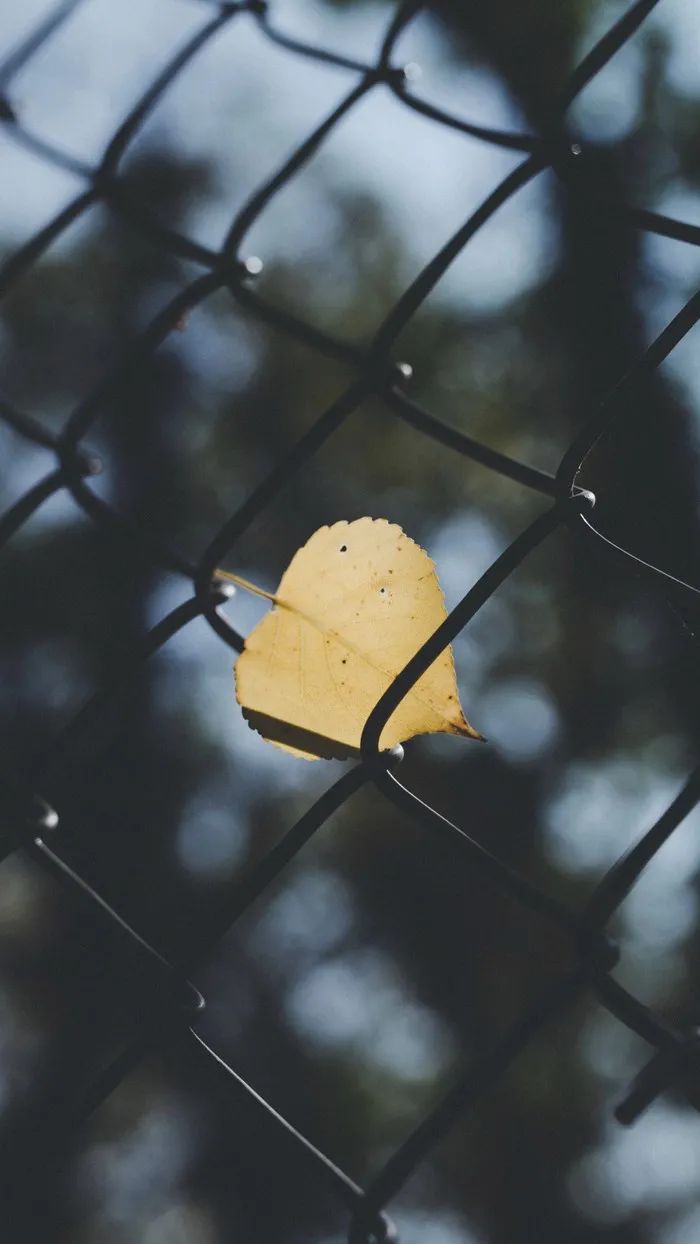 《晚情：为什么我容不下这个20岁的小姑娘？》发布后，有粉丝跑来骂我……休闲区蓝鸢梦想 - Www.slyday.coM