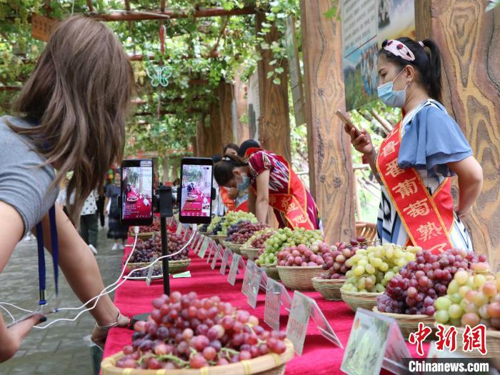 百余种葡萄出现在活动现场。吐鲁番葡萄种植面积达57万亩，年产葡萄120万吨，葡萄品种有500多种。胡嘉琛 摄