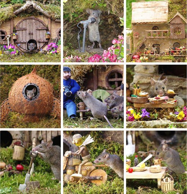 野生动物摄影师为小老鼠们建造精致迷你"社区"